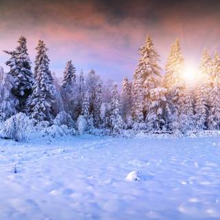 Laptop cute winter wallpaper