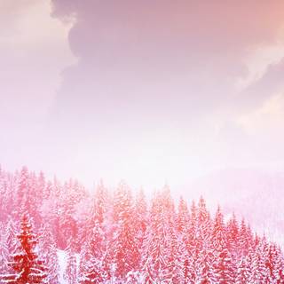 Winter aesthetic 4k wallpaper