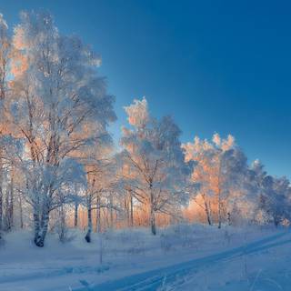 Winter scenery desktop wallpaper