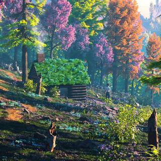 Artistic autumn 4k wallpaper