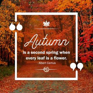 Motivational autumn wallpaper