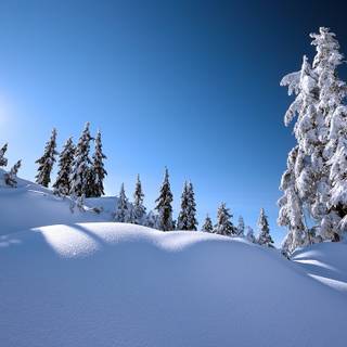 Winter scenery desktop wallpaper