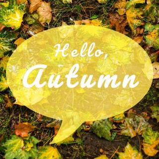 Motivational autumn wallpaper