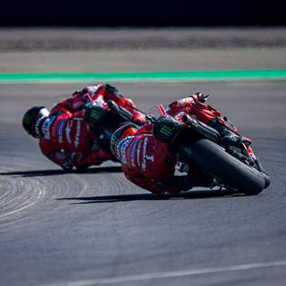 Pecco Bagnaia 2024 wallpaper