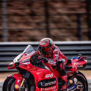 Pecco Bagnaia 2024 wallpaper