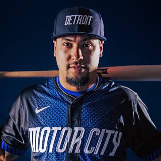 Detroit Tigers 2024 wallpaper