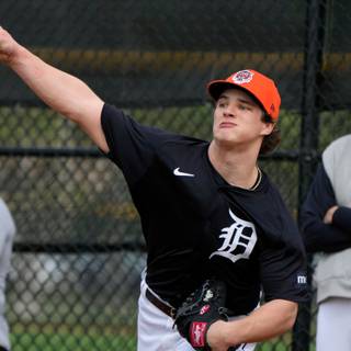 Detroit Tigers 2024 wallpaper