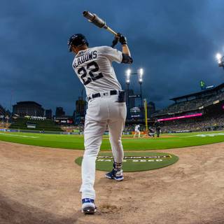 Detroit Tigers 2024 wallpaper