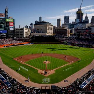 Detroit Tigers 2024 wallpaper