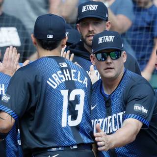 Detroit Tigers 2024 wallpaper