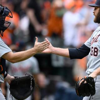 Detroit Tigers 2024 wallpaper