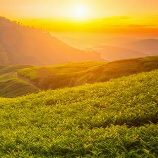 Highlands iPhone wallpaper