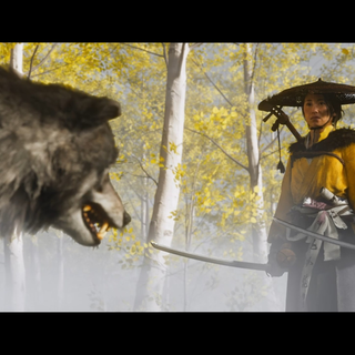 Ghost Of Yotei wallpaper