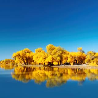 Yellow 4k PC wallpaper