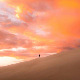 Walking 4k wallpaper