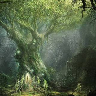 LOTR landscape wallpaper