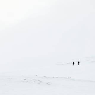 Walking 4k wallpaper