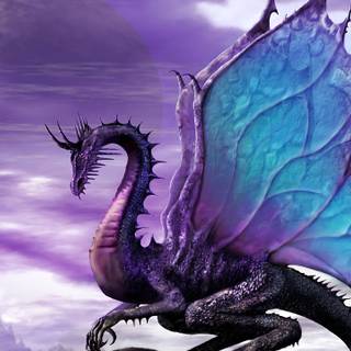 Purple dragon 4k wallpaper