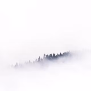 Mobile 4k white wallpaper