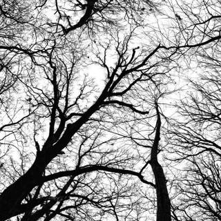 Mobile 4k white wallpaper