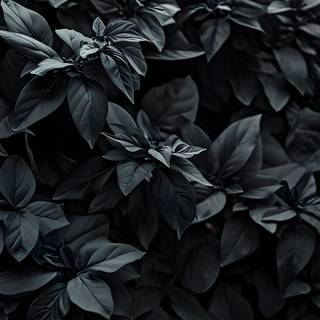 Aesthetic grey desktop wallpaper