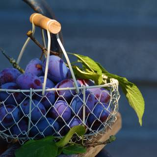 Fruit basket 4k wallpaper