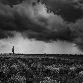 4k desktop alone wallpaper