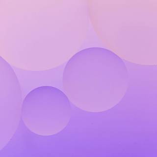 Phone colors wallpaper