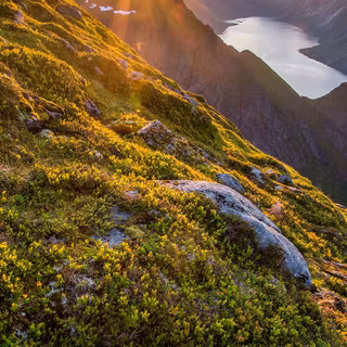 Alps phone wallpaper