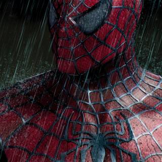 Spider-Man 8k phone wallpaper