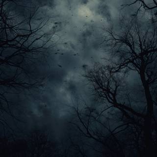 Dark sky phone wallpaper