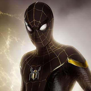 Spider-Man cosplay wallpaper