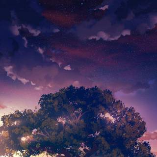 Aesthetic scenery phone wallpaper