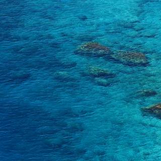 Ocean iPhone 12 wallpaper