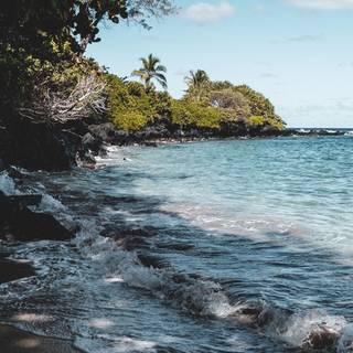 Ocean iPhone 12 wallpaper