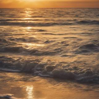 Ocean iPhone 12 wallpaper
