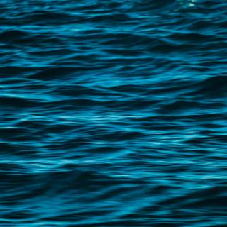 Ocean iPhone 12 wallpaper