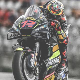 Marco Bezzecchi wallpaper