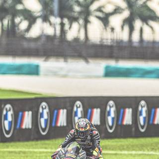 Marco Bezzecchi wallpaper