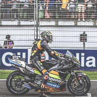 Marco Bezzecchi wallpaper