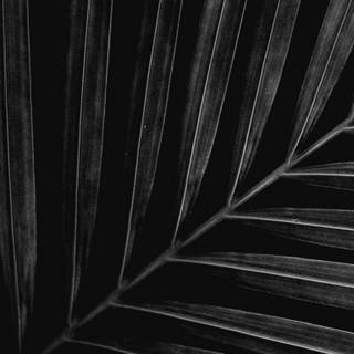 Dark 1366x768 wallpaper