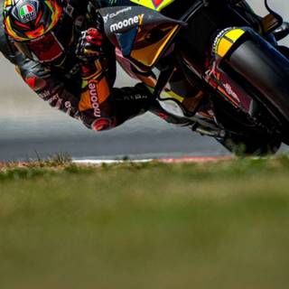 Marco Bezzecchi wallpaper