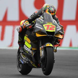 Marco Bezzecchi wallpaper