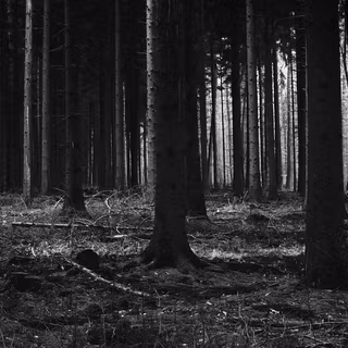 Cool scary iPhone wallpaper