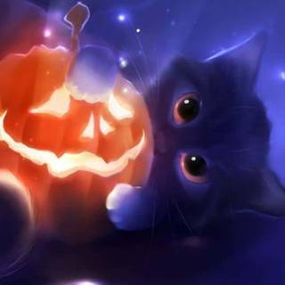 Halloween cat iPhone wallpaper