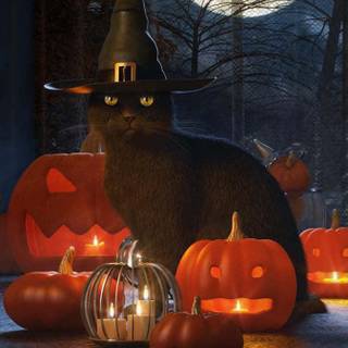 Halloween cat iPhone wallpaper