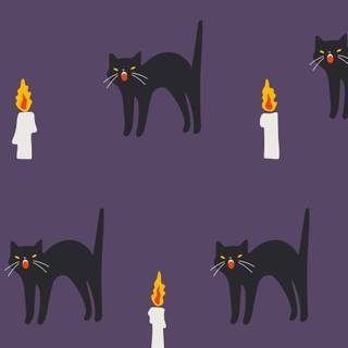 Halloween cat iPhone wallpaper