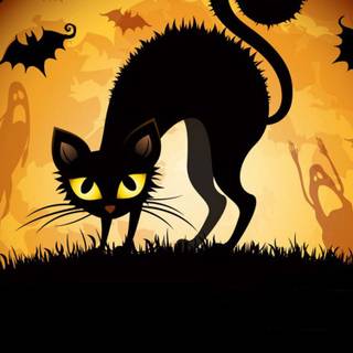 Halloween cat iPhone wallpaper