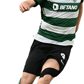 Viktor Gyökeres wallpaper