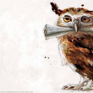 Harry Potter illustration wallpaper